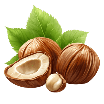 Logo Titinuts